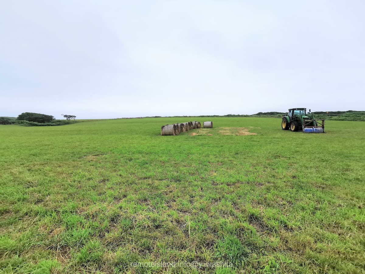 06めん羊放牧場.jpg 06めん羊放牧場