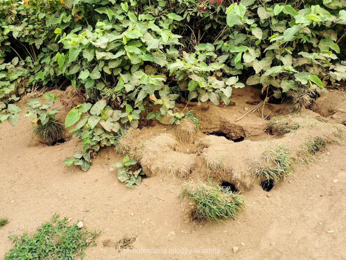 32赤岩展望台付近.jpg 32赤岩展望台付近