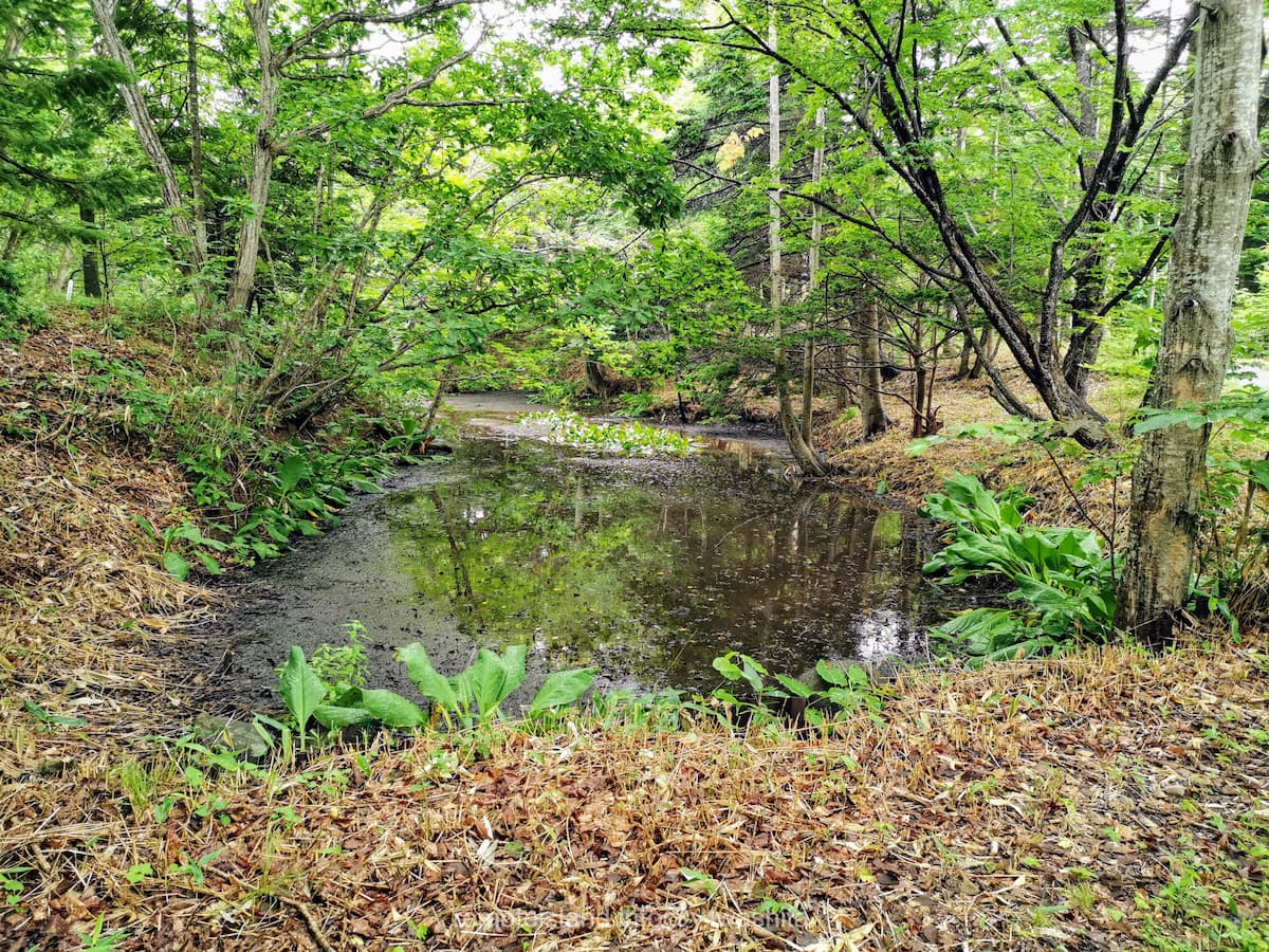 25雲雀ヶ丘公園.jpg 25雲雀ヶ丘公園