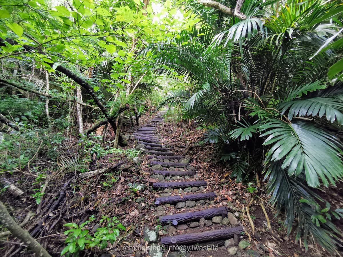 09階段.jpg 09階段