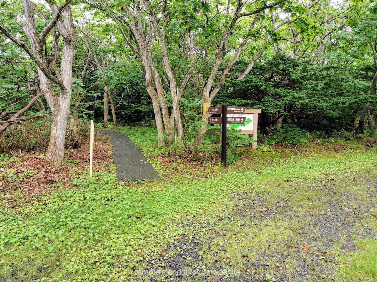 38分岐点.jpg 38分岐点