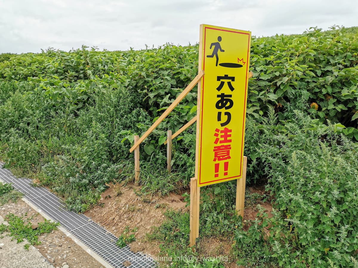 19穴あり.jpg 19穴あり