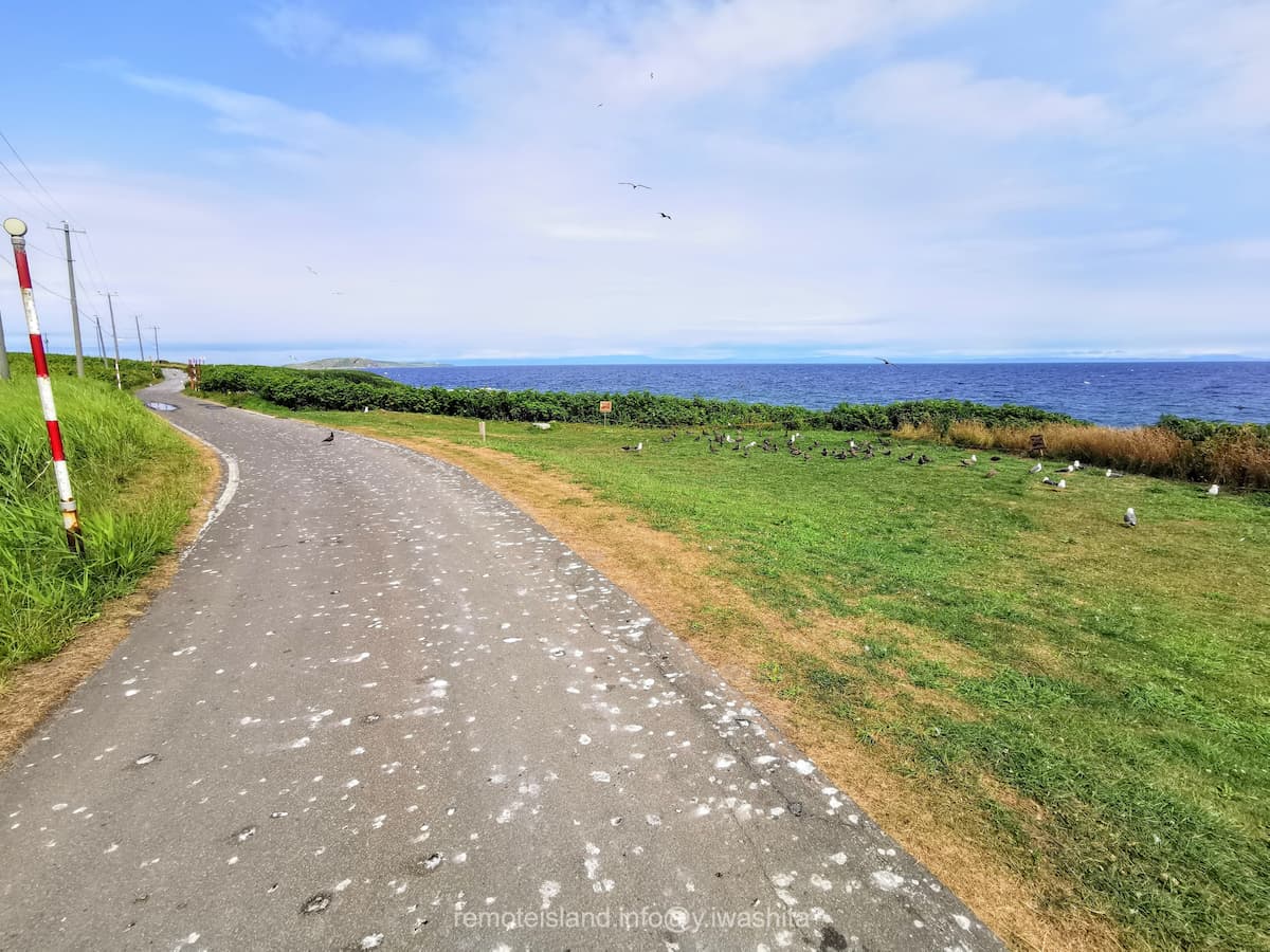 13黒崎海岸付近.jpg 13黒崎海岸付近