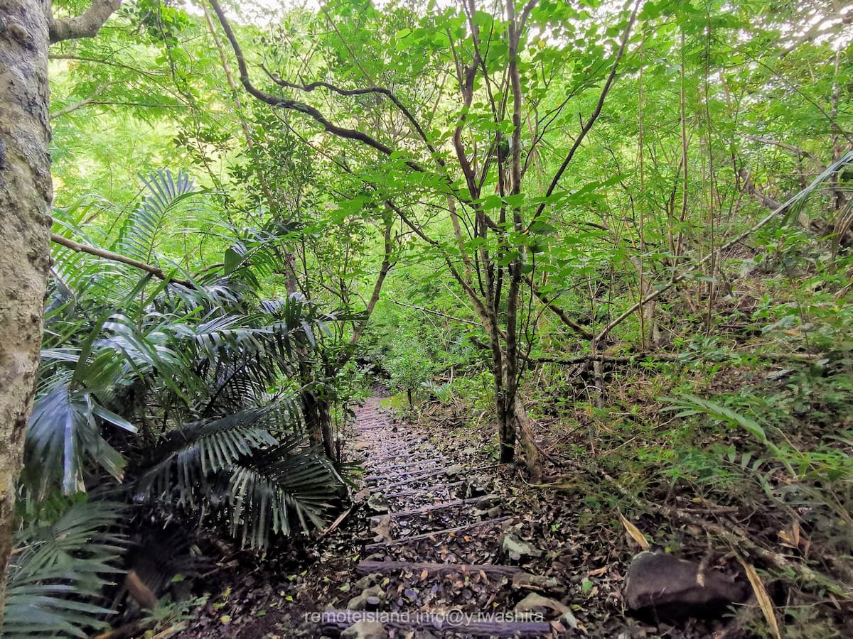 10階段.jpg 10階段