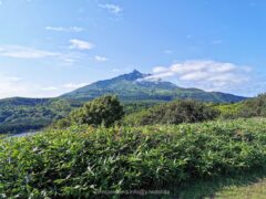 プロポーズ証明書がもらえる！白い恋人の丘【北海道 利尻島 観光】