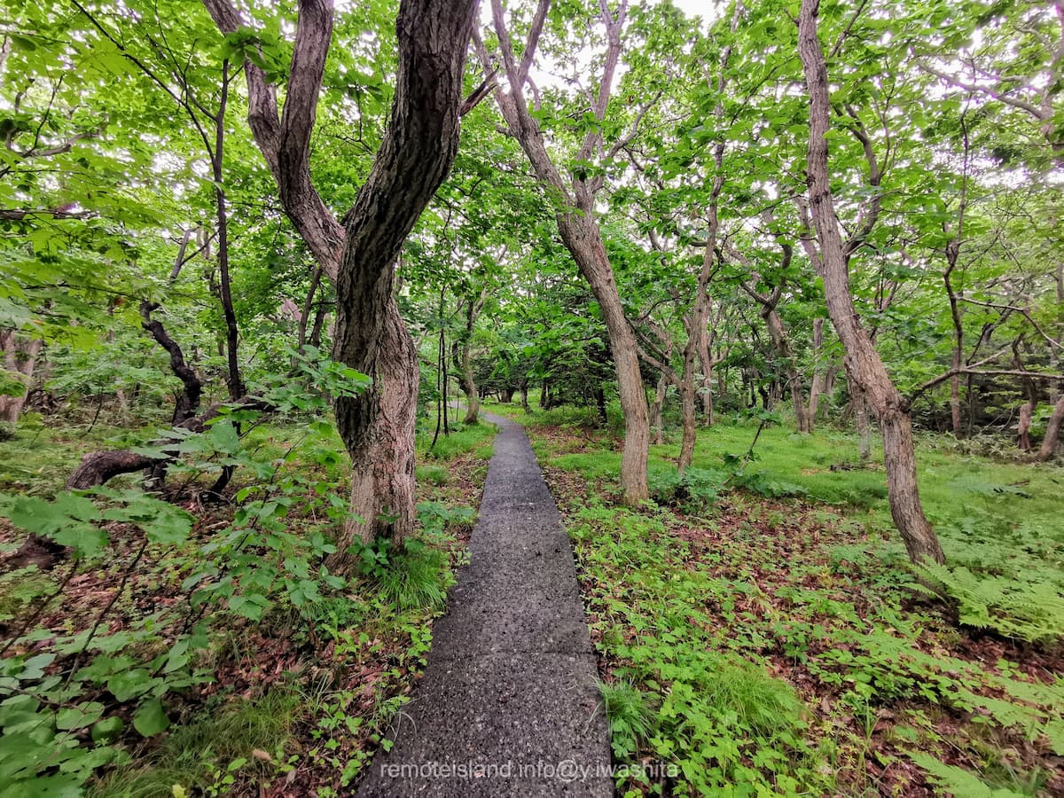 18雲雀ヶ丘公園へ.jpg 18雲雀ヶ丘公園へ