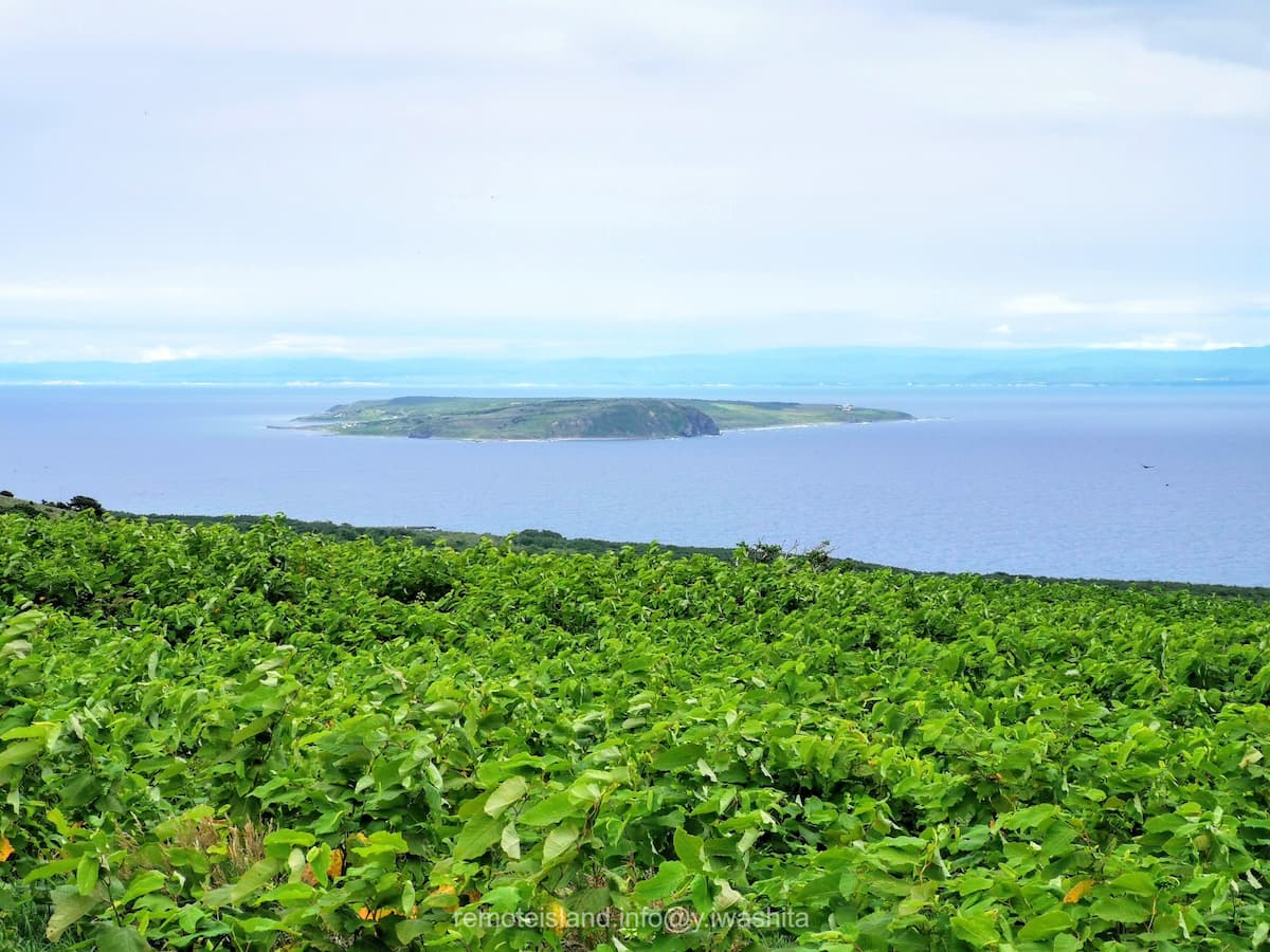 34焼尻島.jpg 34焼尻島