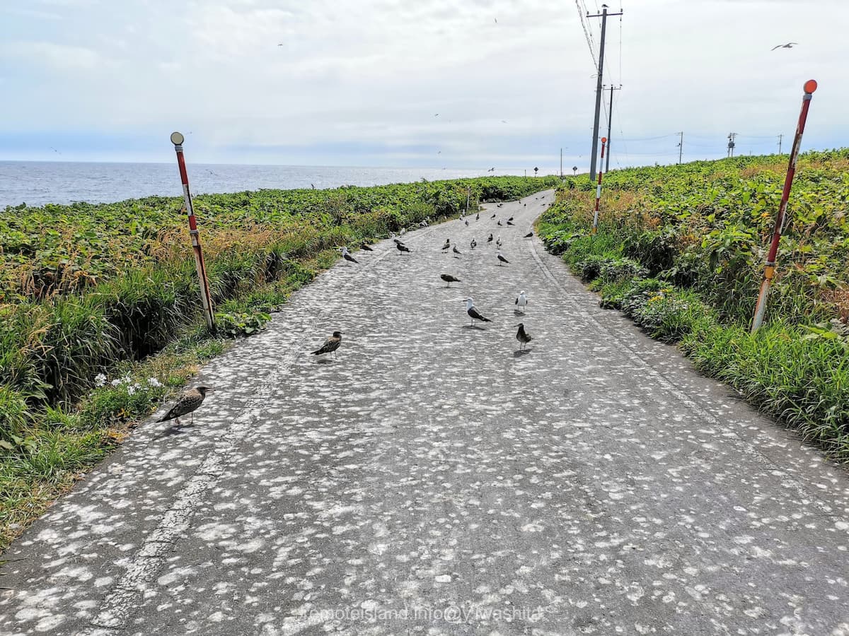 01黒崎海岸付近.jpg 01黒崎海岸付近