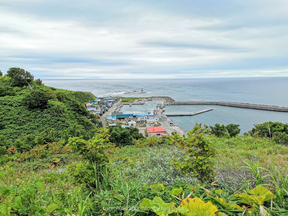 44愛鳥の碑展望台から.jpg 44愛鳥の碑展望台から