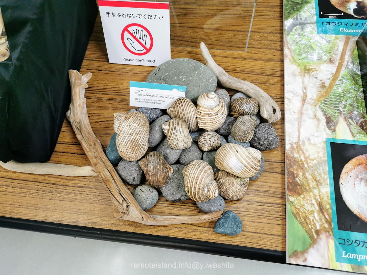 26硫黄列島.jpg 26硫黄列島