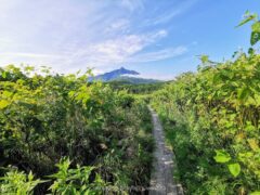 気軽に散策 綺麗な風景が見れる南浜湿原【北海道 利尻島 観光】