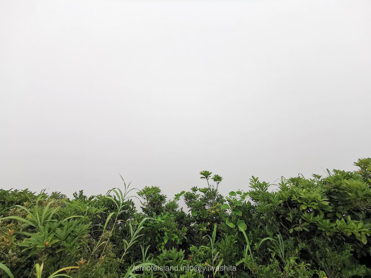 08尾山展望公園.jpg 08尾山展望公園