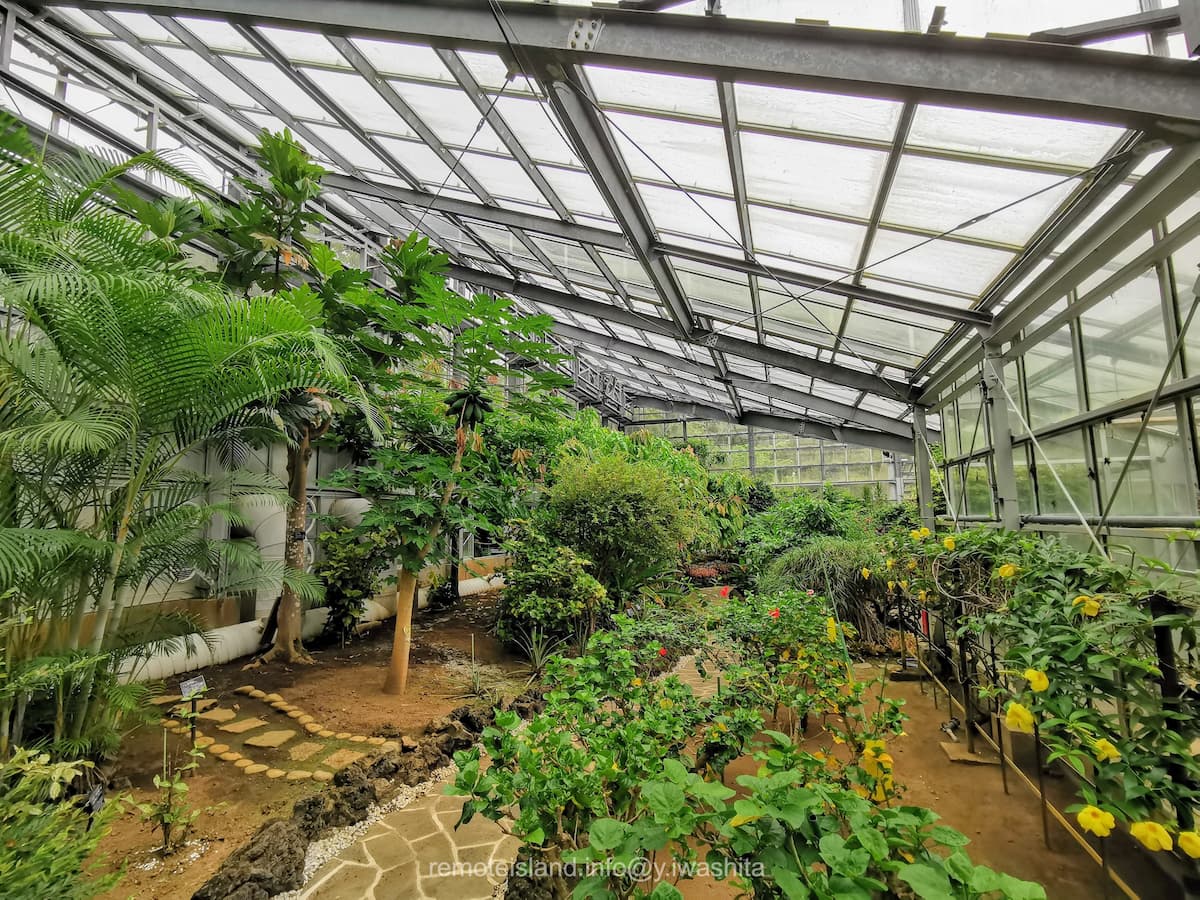 04温室植栽ゾーン.jpg 04温室植栽ゾーン