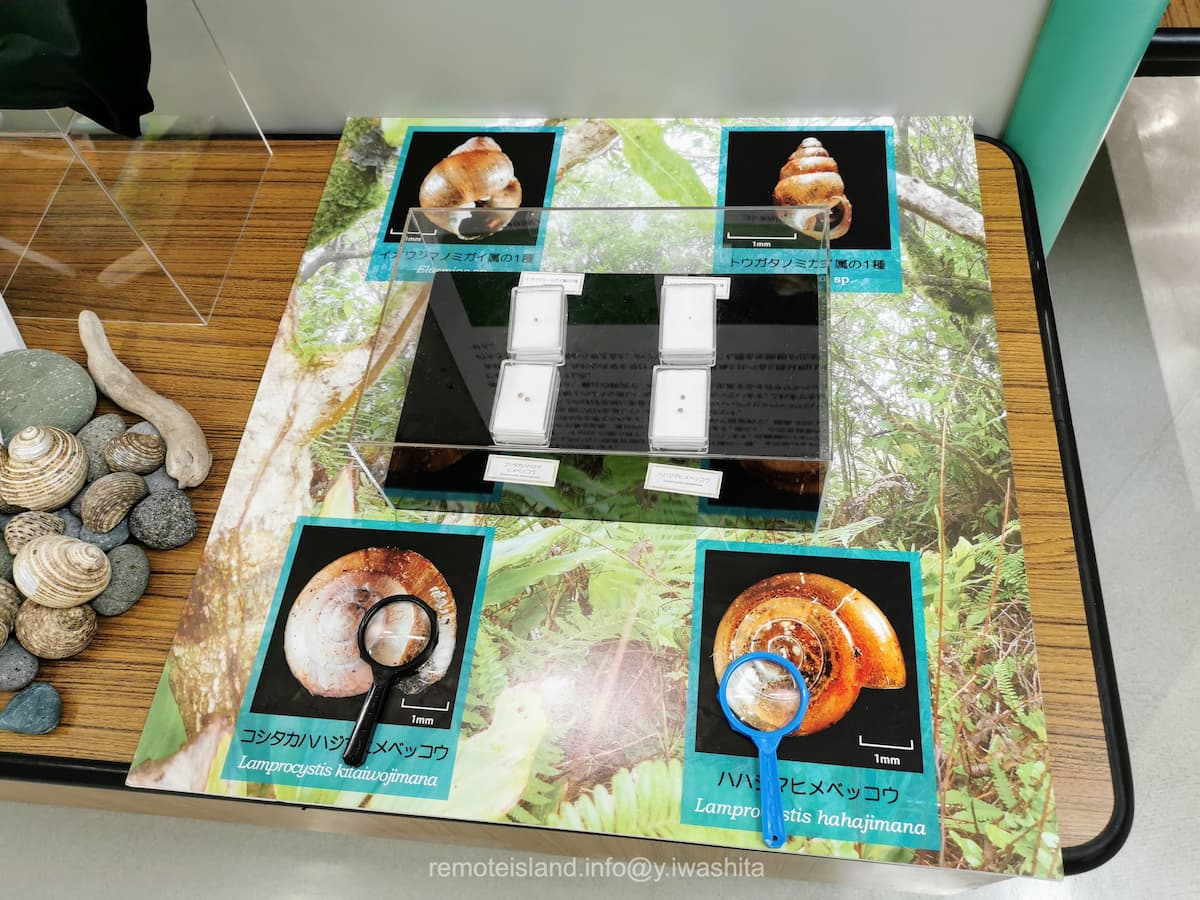 27硫黄列島.jpg 27硫黄列島