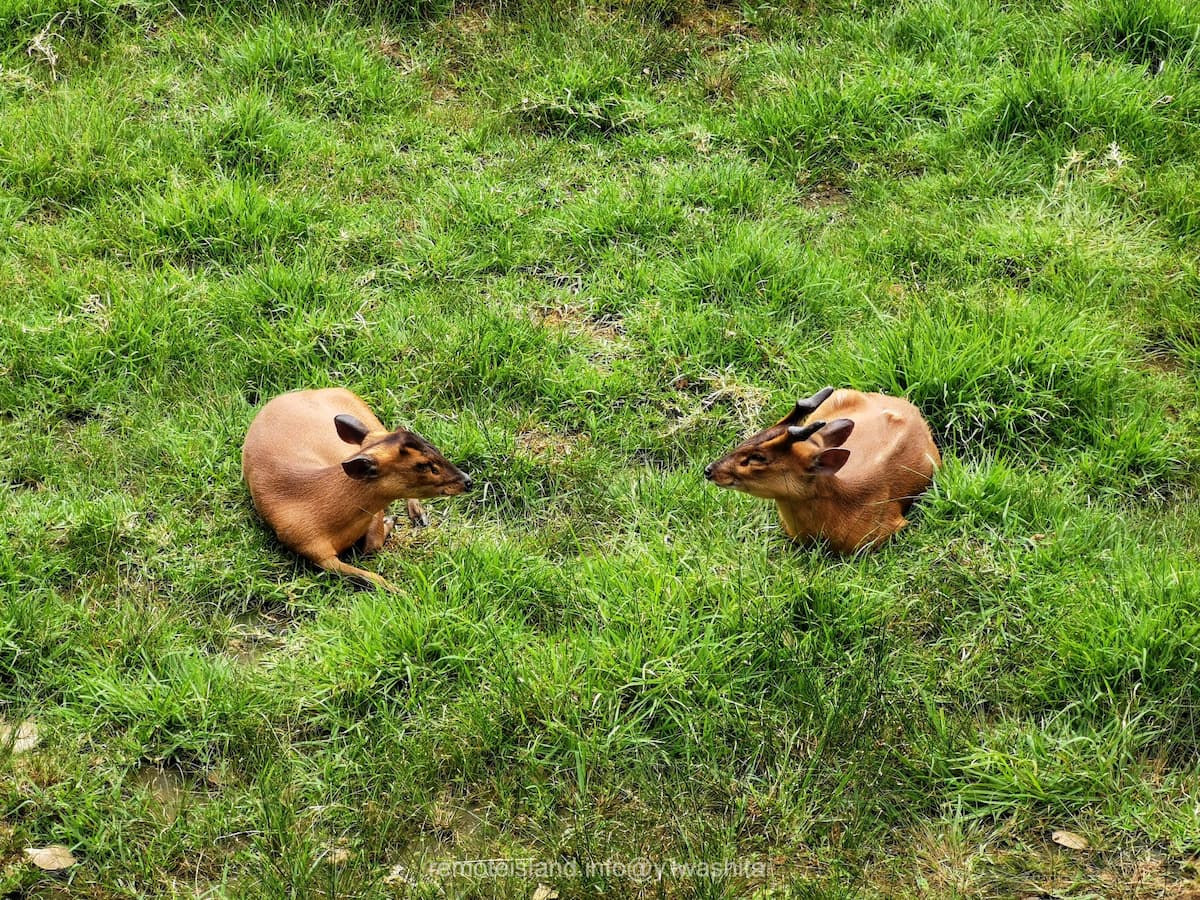 27キョン.jpg 27キョン