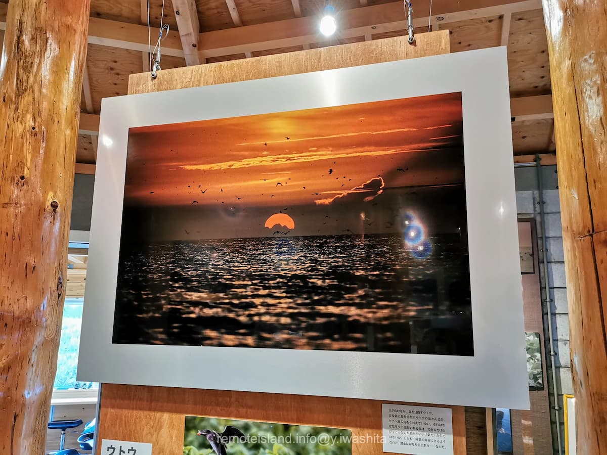 23島を目指すウトウ.jpg 23島を目指すウトウ