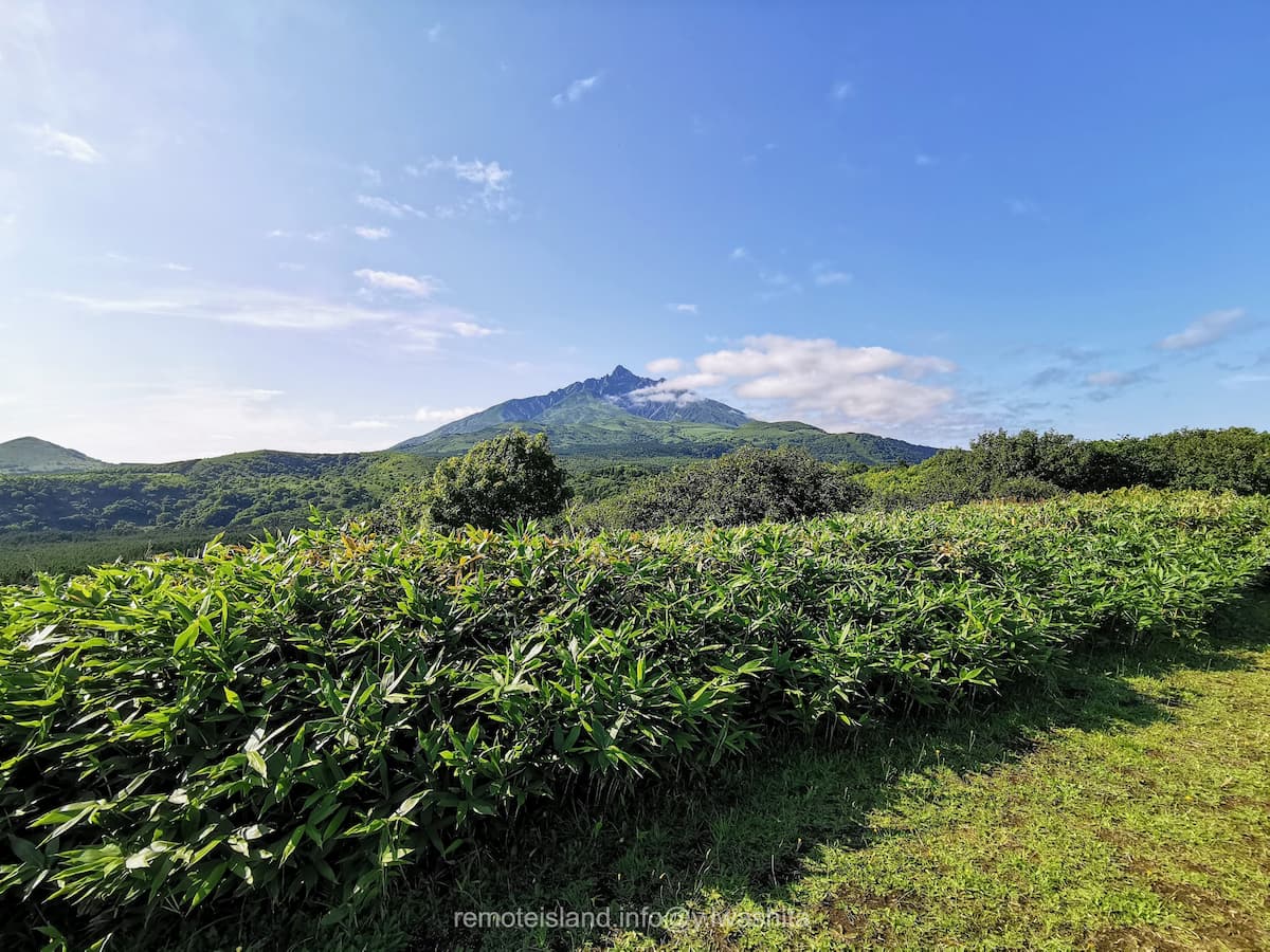 02白い恋人の丘.jpg 02白い恋人の丘