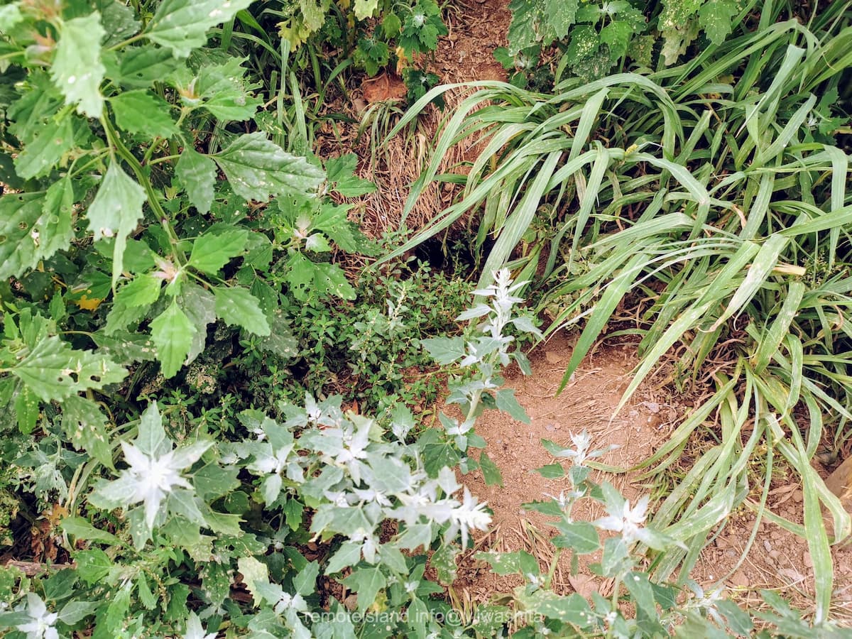 21穴あり.jpg 21穴あり