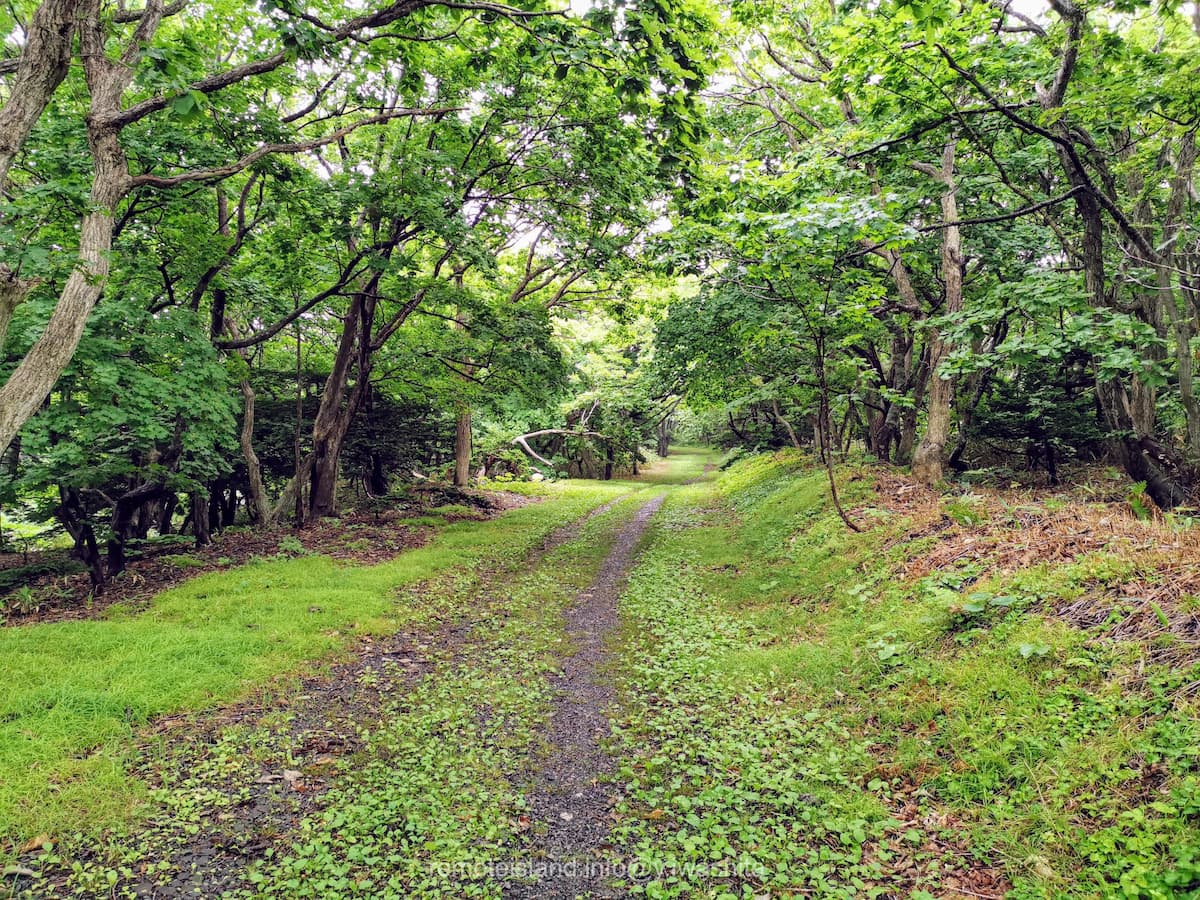 20雲雀ヶ丘公園へ.jpg 20雲雀ヶ丘公園へ