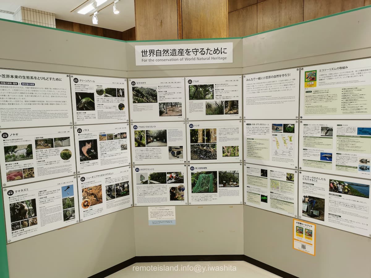 22情報コーナー.jpg 22情報コーナー