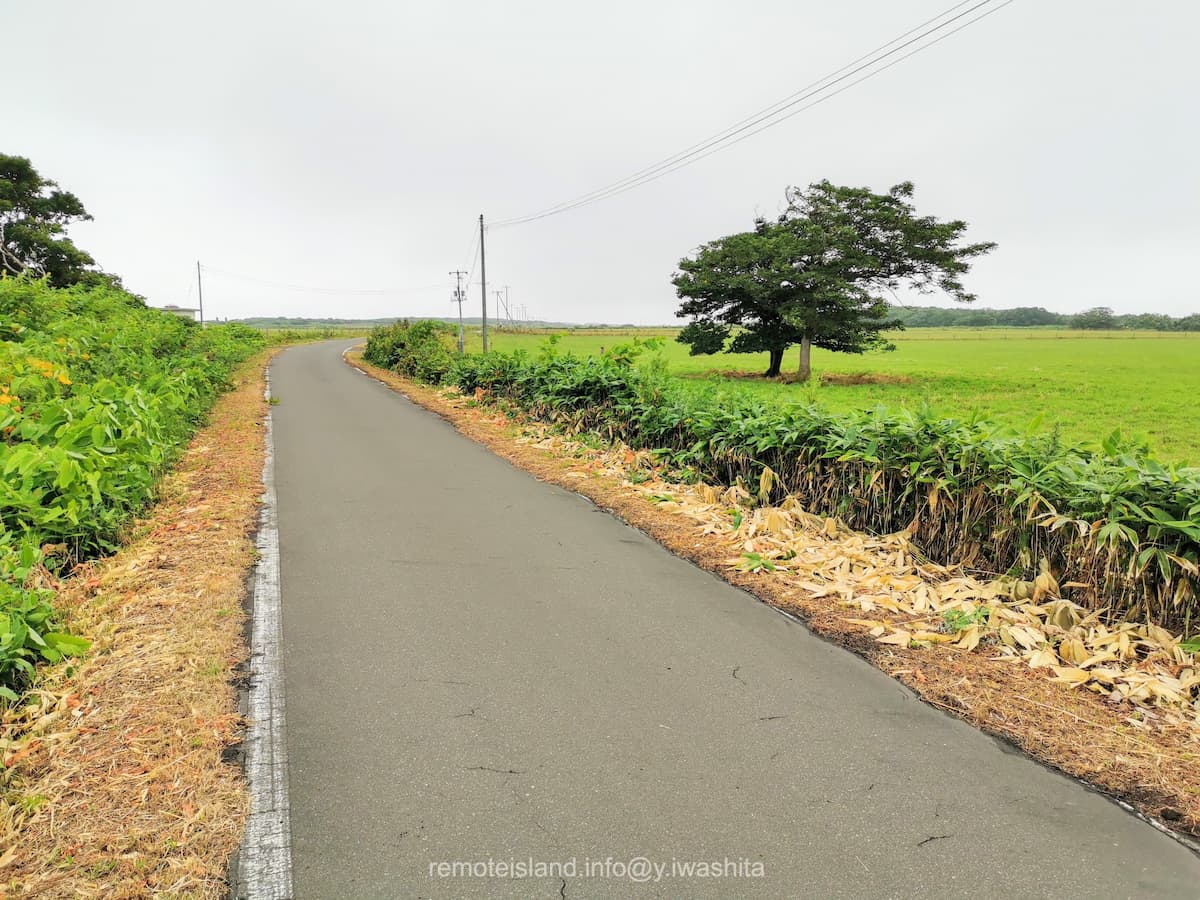 02オンコ海道.jpg 02オンコ海道