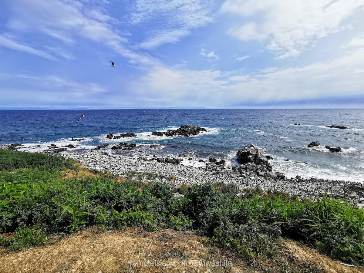 19海岸.jpg 19海岸