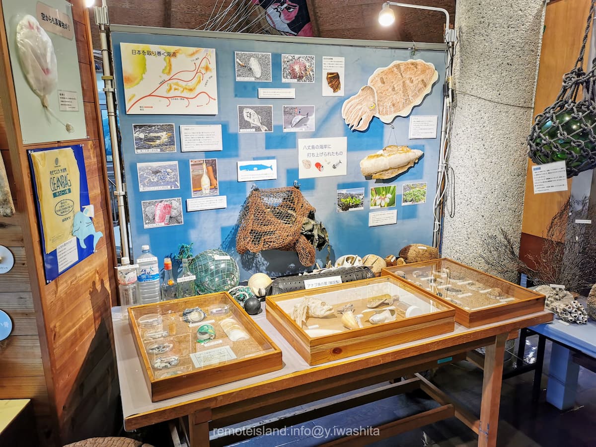 19海岸.jpg 19海岸