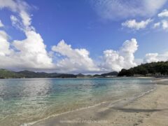 ウミガメも産卵！市街地の目の前の大村海岸【小笠原 父島 観光】
