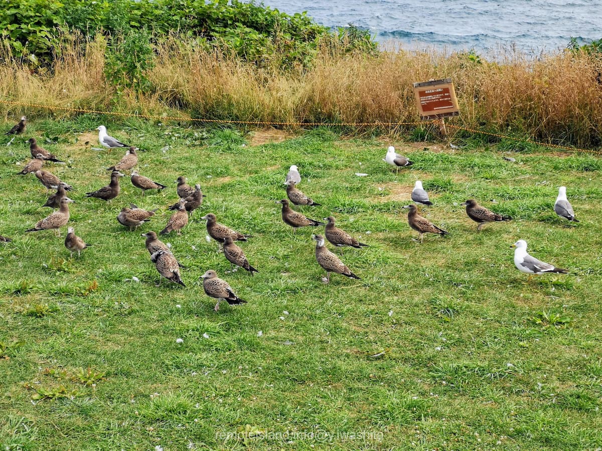 15黒崎海岸付近.jpg 15黒崎海岸付近
