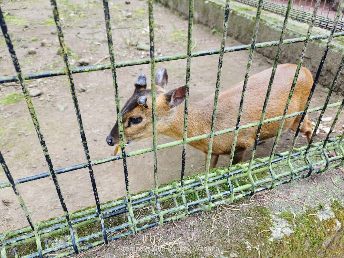 31キョン.jpg 31キョン