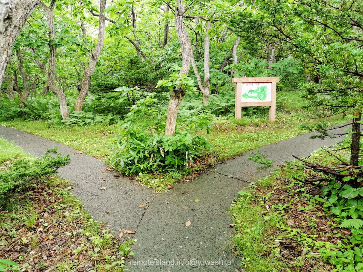 16右へ(左は白浜野営地).jpg 16右へ 左は白浜野営地
