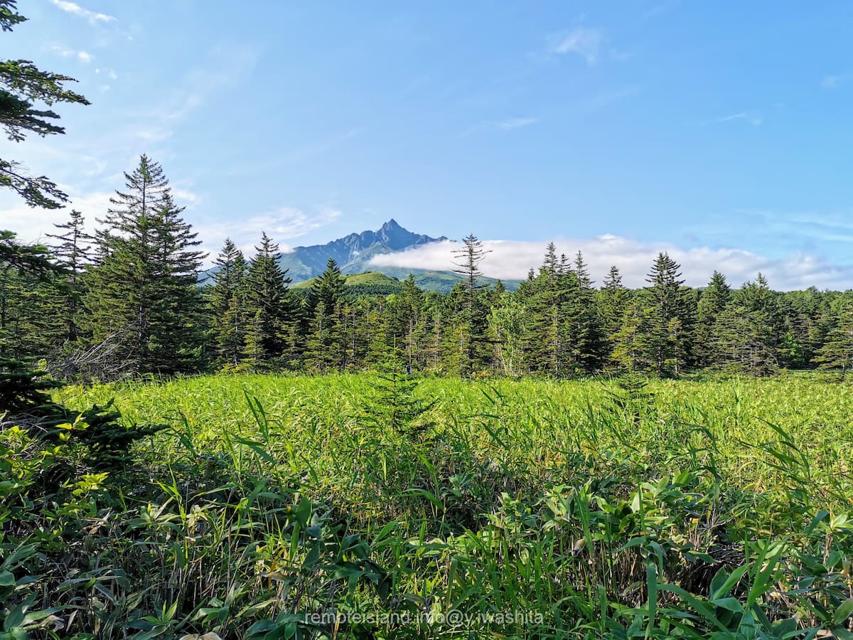 09南浜湿原と利尻山.jpg 09南浜湿原と利尻山