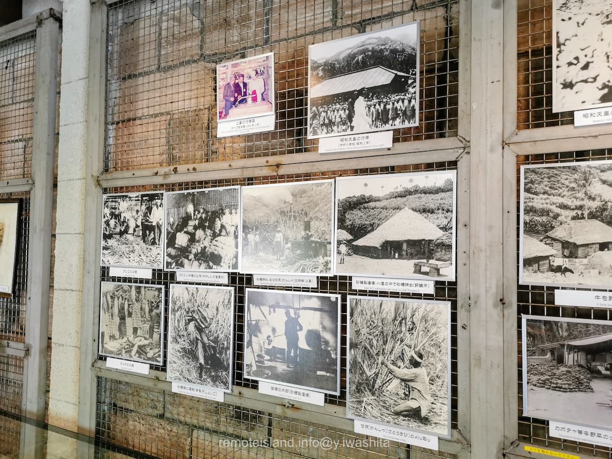 25昔の写真.jpg 25昔の写真