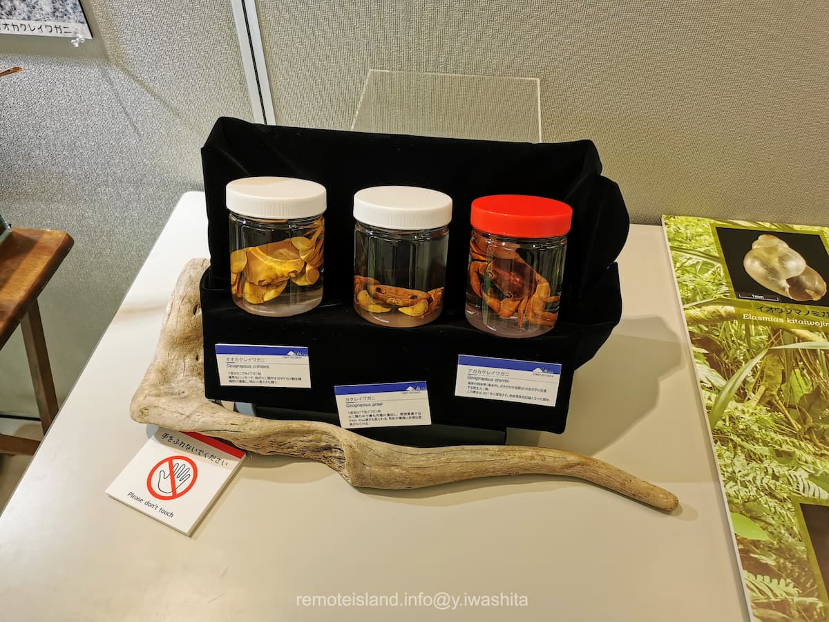 34硫黄列島.jpg 34硫黄列島