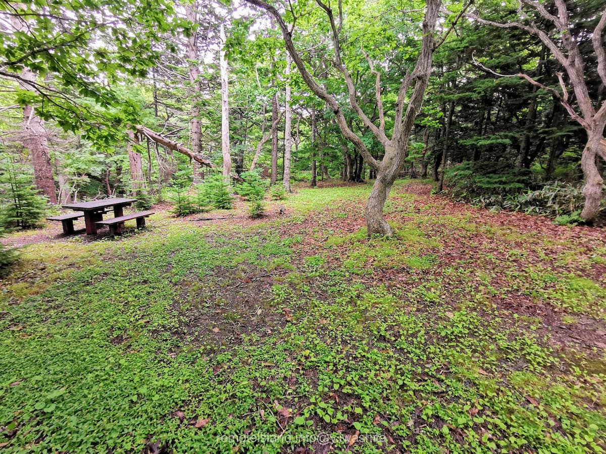 26雲雀ヶ丘公園.jpg 26雲雀ヶ丘公園