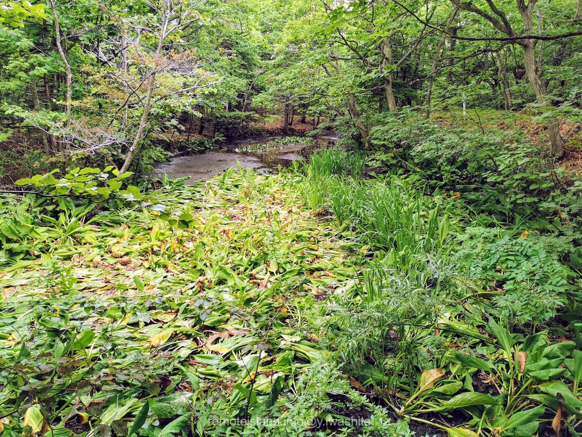 29雲雀ヶ丘公園.jpg 29雲雀ヶ丘公園