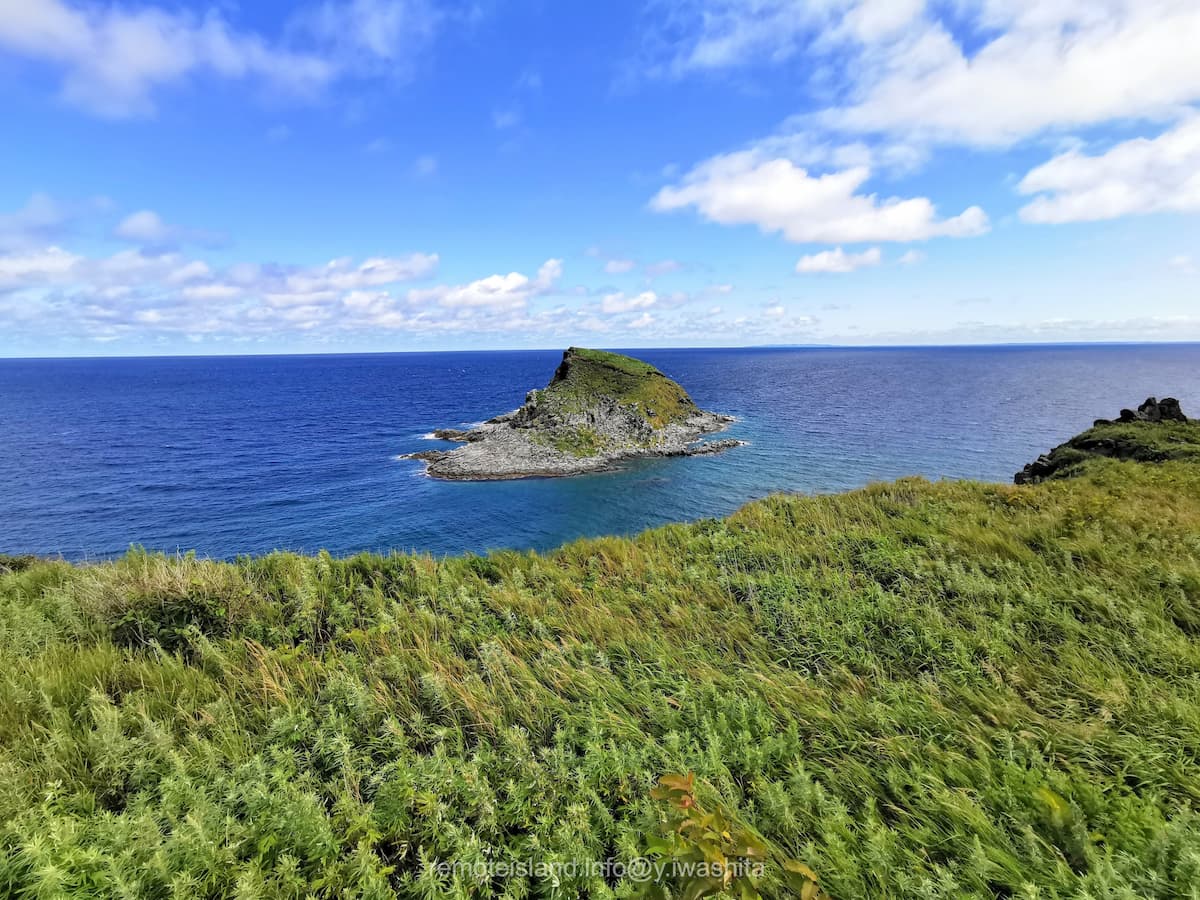 12富士野園地展望台から.jpg 12富士野園地展望台から