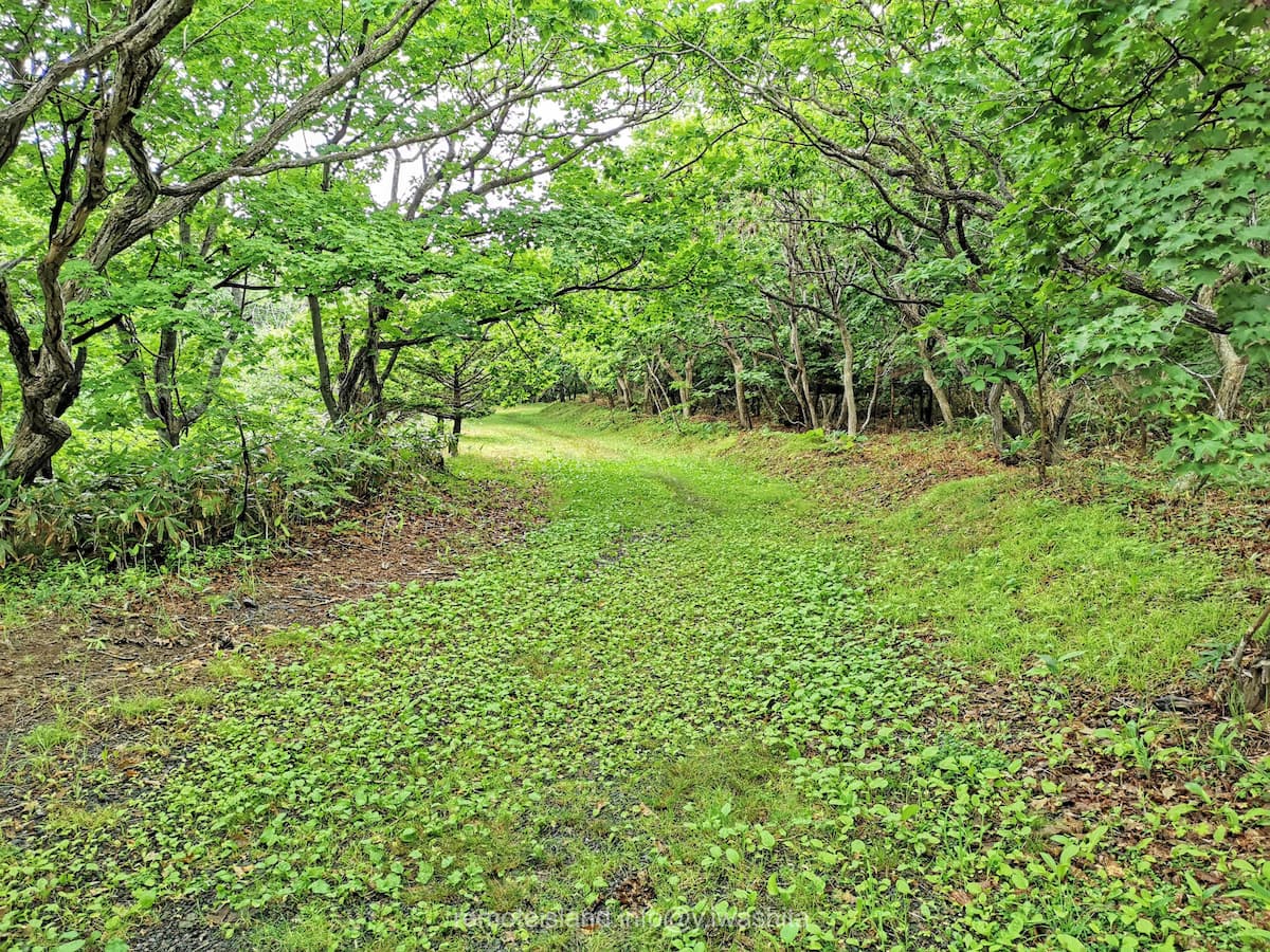 19雲雀ヶ丘公園へ.jpg 19雲雀ヶ丘公園へ