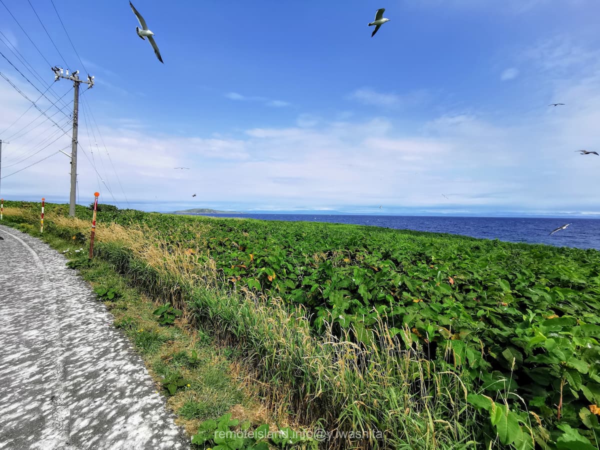 05黒崎海岸付近.jpg 05黒崎海岸付近