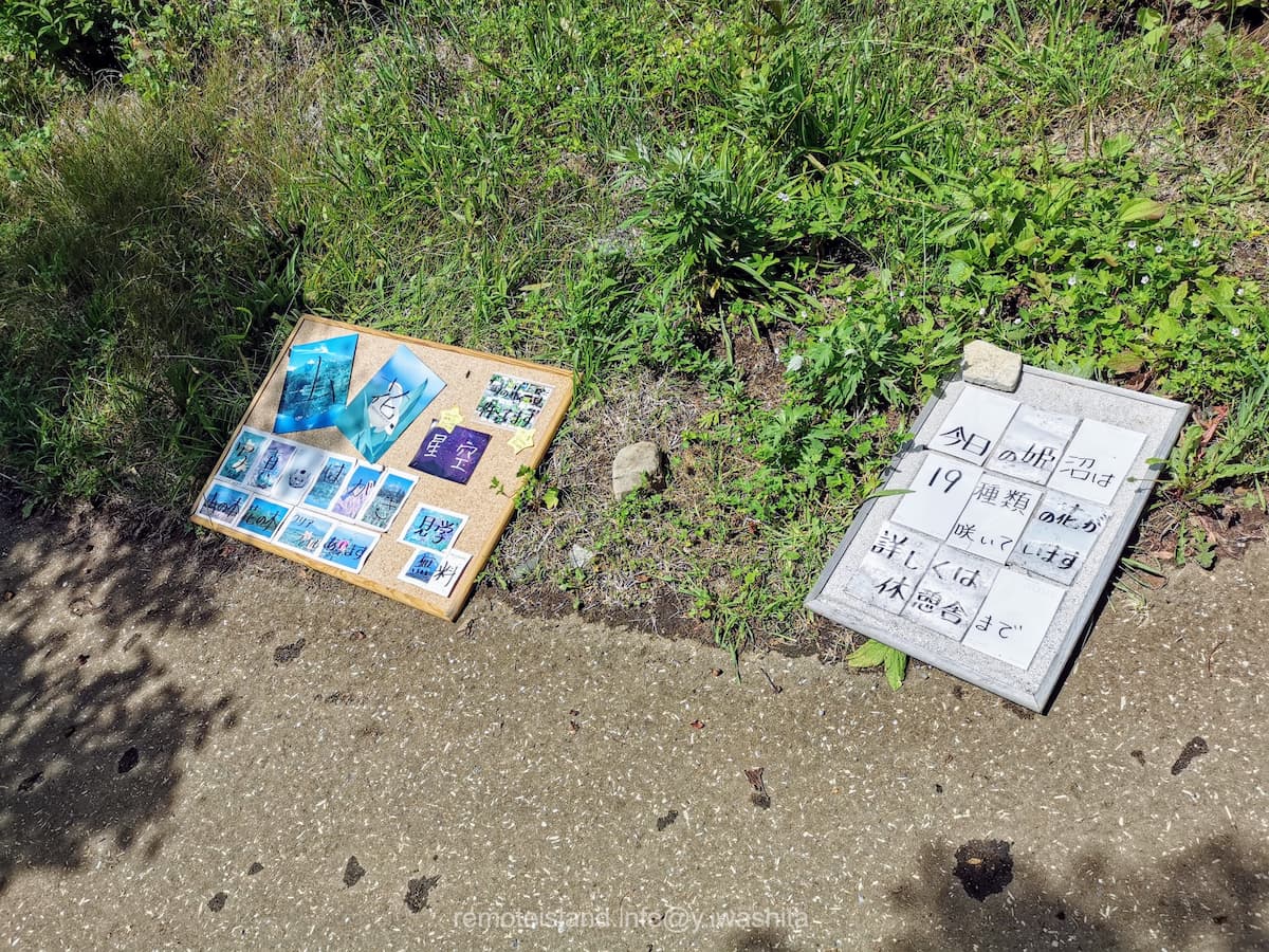 04今日の姫沼.jpg 04今日の姫沼