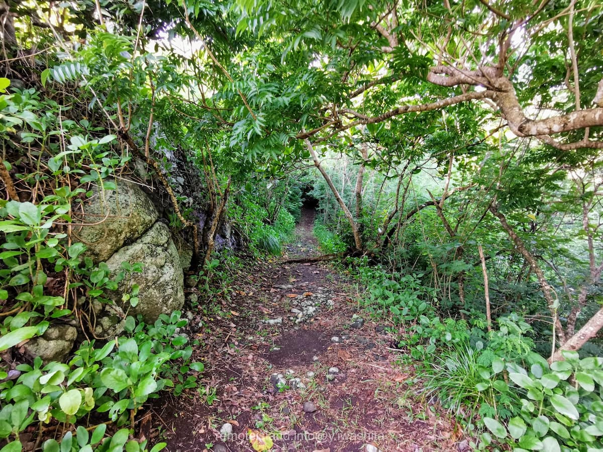 08歩道.jpg 08歩道