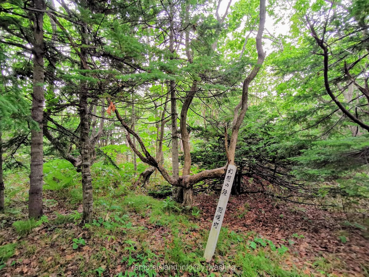 36幻想の径.jpg 36幻想の径