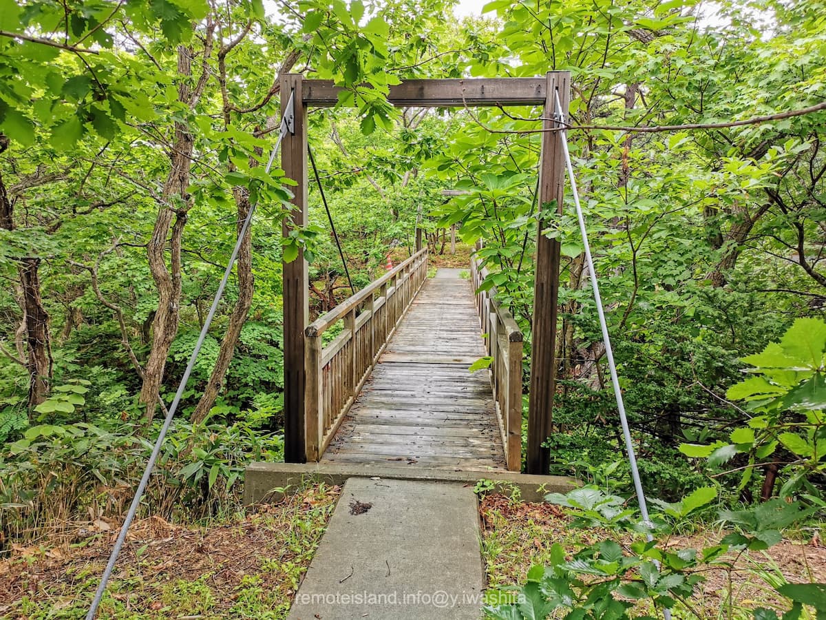 13うぐいす谷.jpg 13うぐいす谷