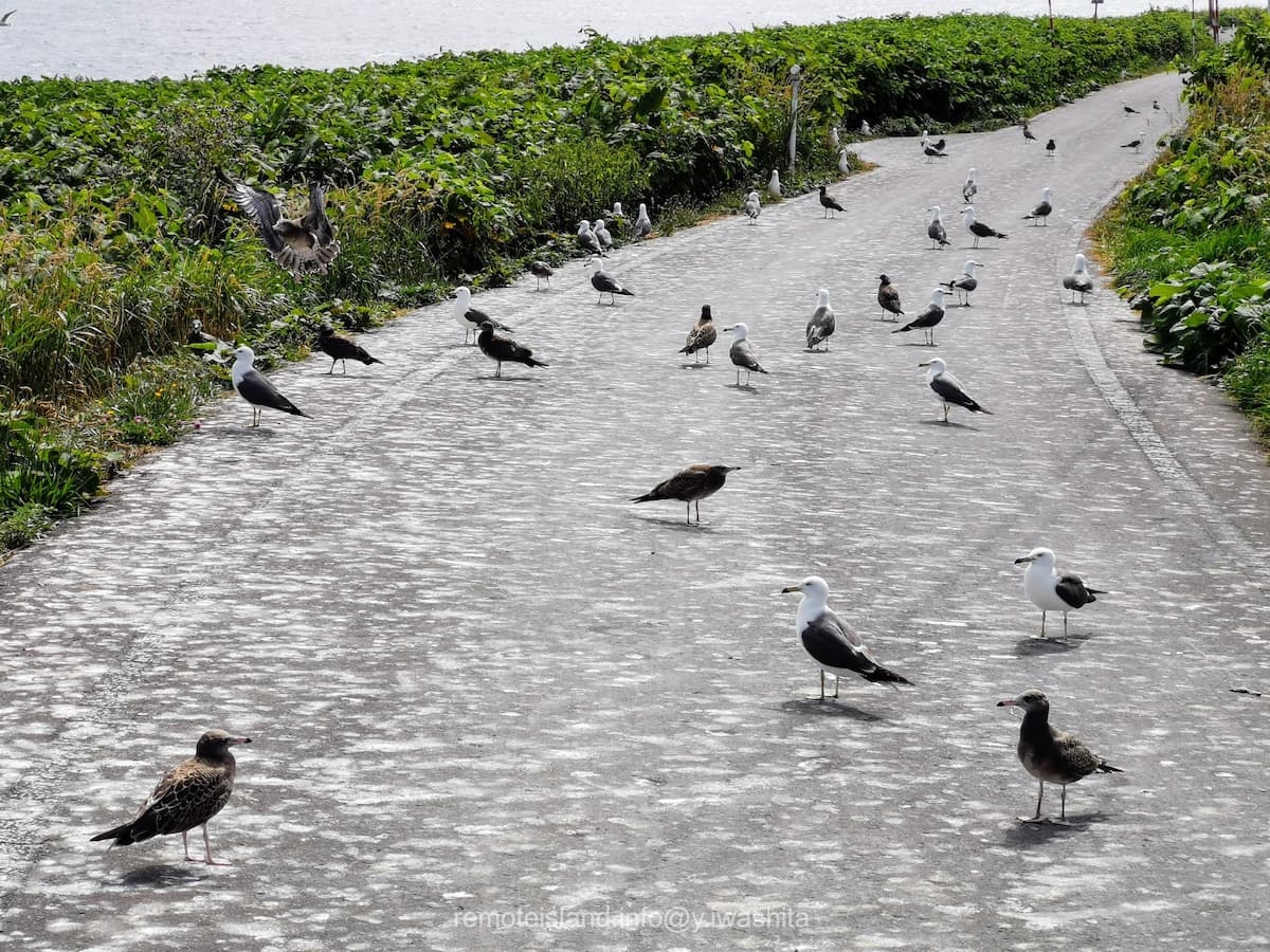 03黒崎海岸付近.jpg 03黒崎海岸付近