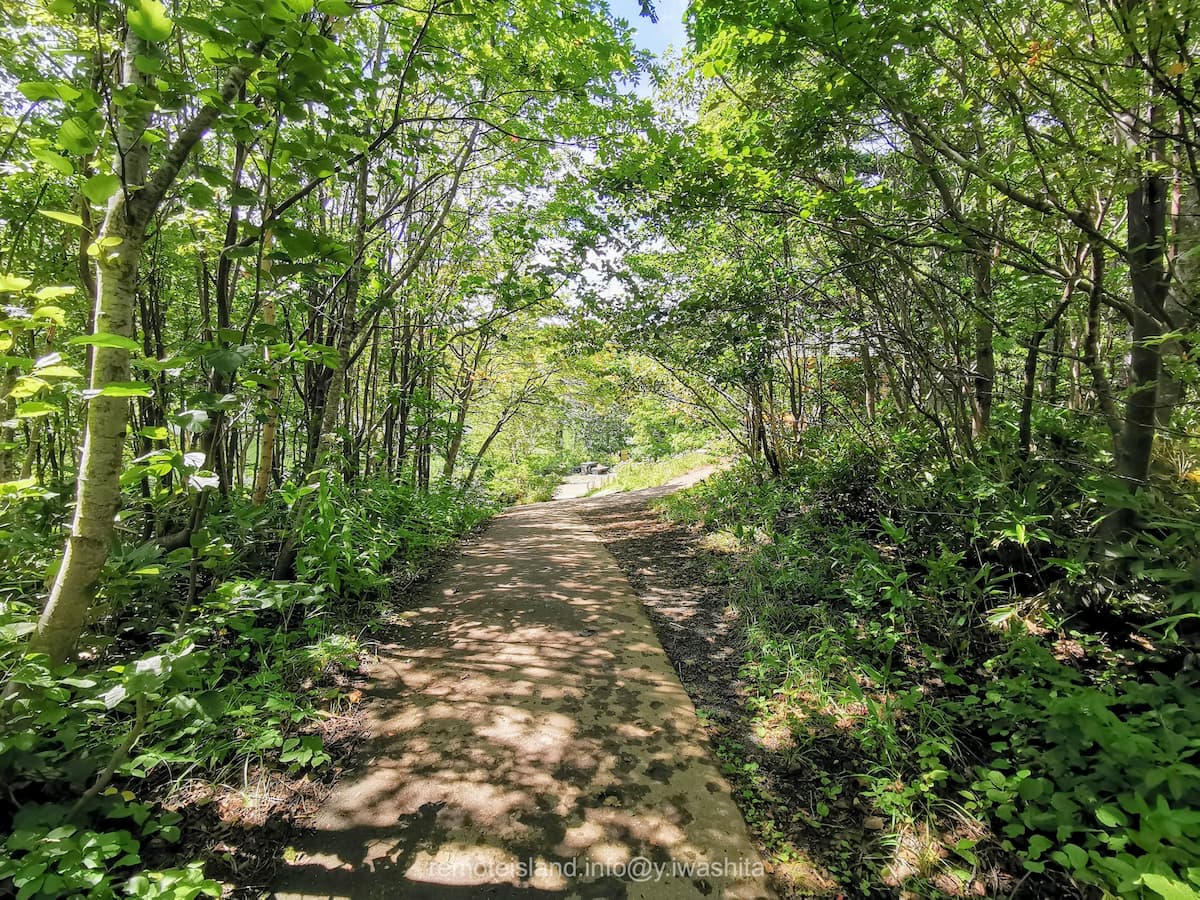 03遊歩道.jpg 03遊歩道