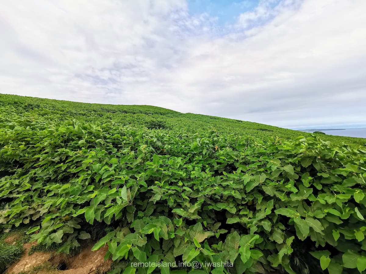 31赤岩展望台付近.jpg 31赤岩展望台付近