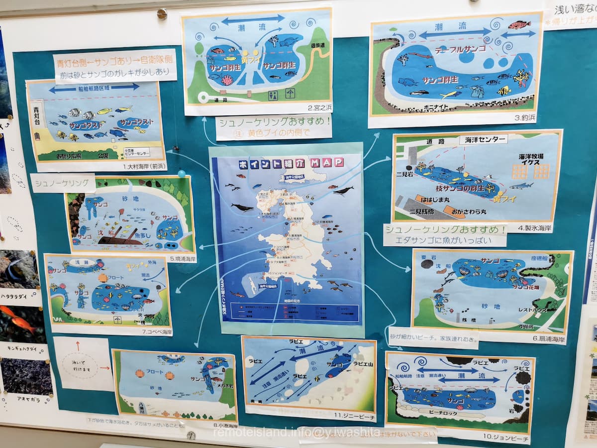 37シュノーケリング.jpg 37シュノーケリング