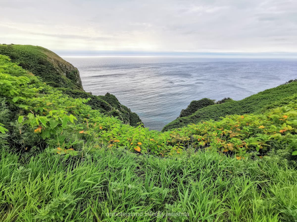 36西側.jpg 36西側