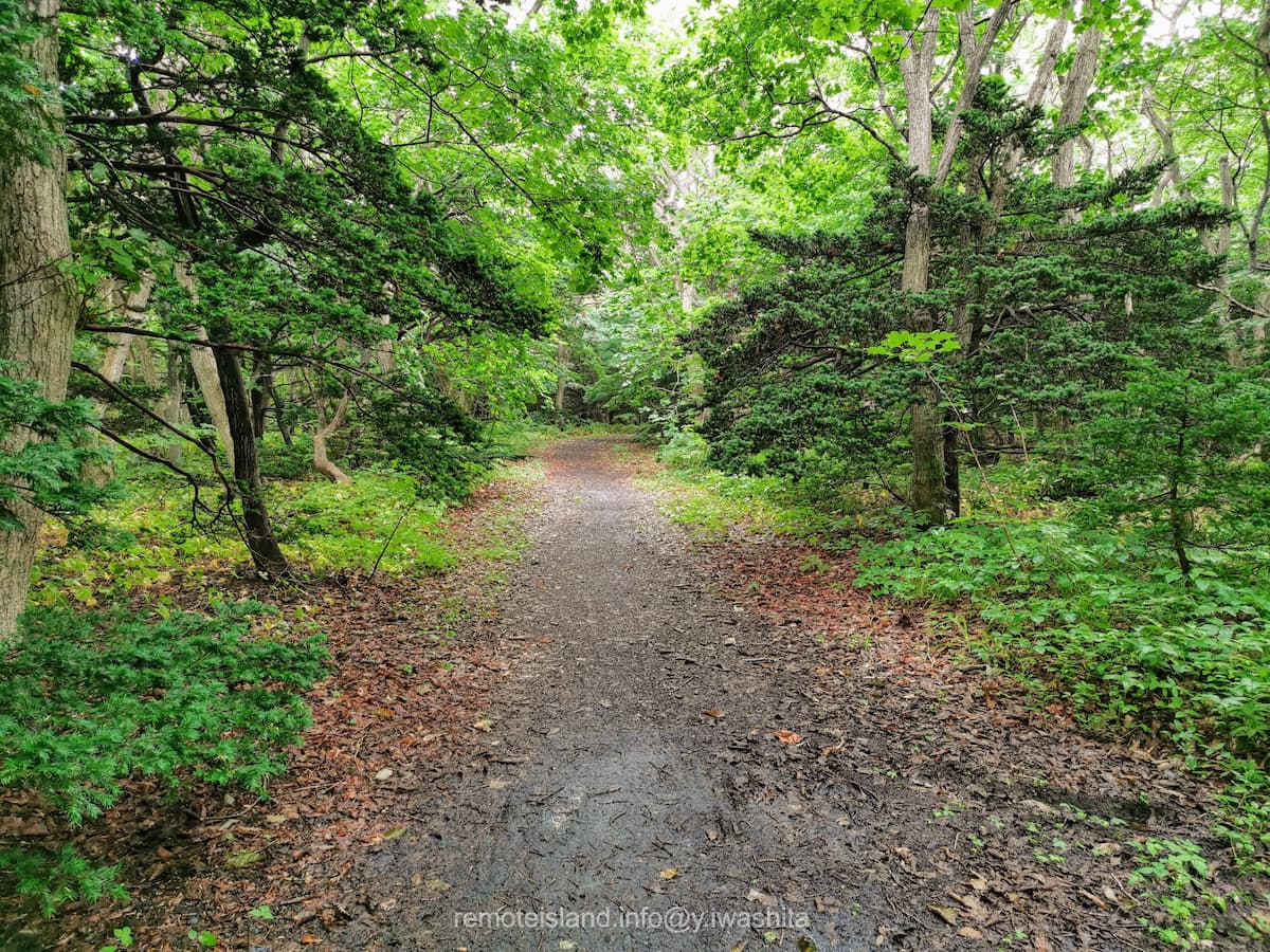 22雲雀ヶ丘公園へ.jpg 22雲雀ヶ丘公園へ