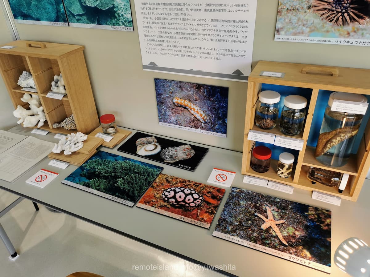 32硫黄列島.jpg 32硫黄列島